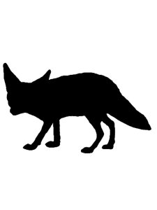 Fennec Fox Stencil 1