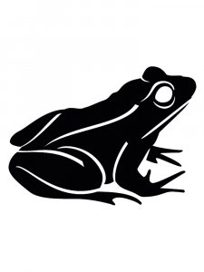 Frog Stencils 14