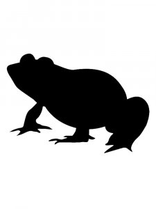 Frog Stencils 15