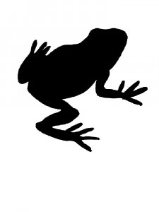 Frog Stencils 6