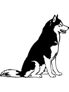 Husky Stencil 1