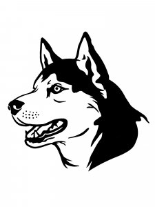 Husky Stencil 13