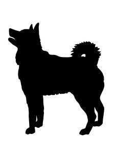 Husky Stencil 14