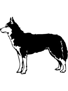 Husky Stencil 9