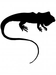 Iguana Stencil 1