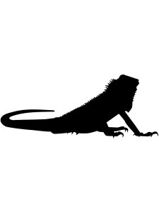 Iguana Stencil 2