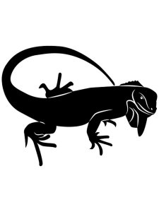 Iguana Stencil 3