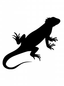 Iguana Stencil 4