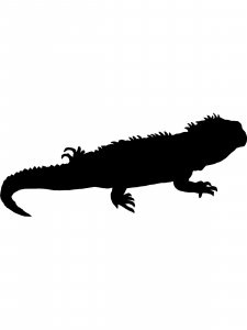 Iguana Stencil 5