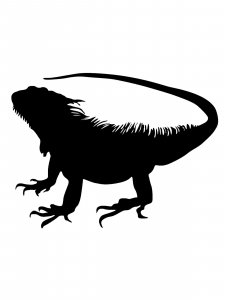 Iguana Stencil 6