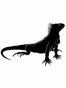 Iguana Stencil 7