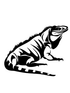 Iguana Stencil 9