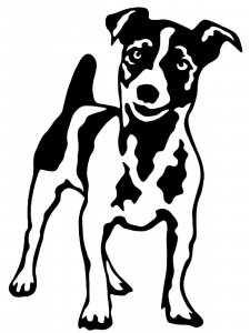 Jack Russell Terrier Stencil 6