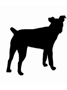 Jack Russell Terrier Stencil 8