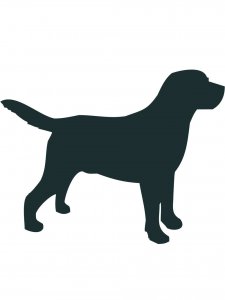 Labrador Stencil 12