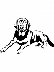 Labrador Stencil 13