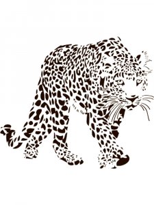 Leopard Stencils 4