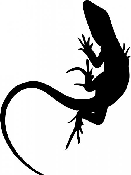 Lizard Templates – Free Printable PDF for Reptile Crafts