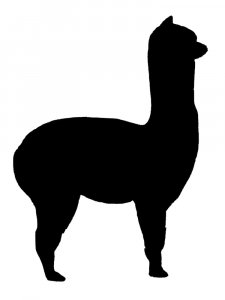 Llama Stencil 6