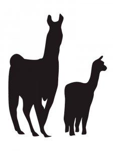 Llama Stencil 7