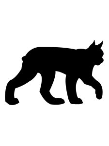 Lynx Stencil 1