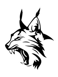 Lynx Stencil 3
