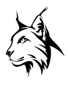 Lynx Stencil 4
