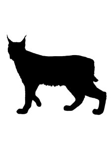 Lynx Stencil 6