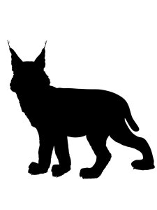 Lynx Stencil 7