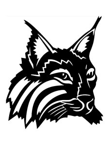 Lynx Stencil 8