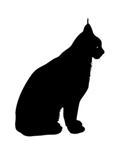 Lynx Stencil 9