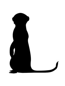 Meerkat Stencil 1