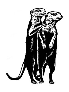 Meerkat Stencil 3