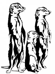 Meerkat Stencil 4