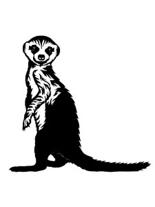 Meerkat Stencil 5
