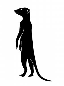 Meerkat Stencil 7