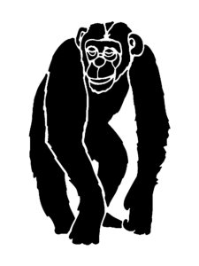 Monkey Stencils 25