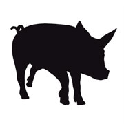 Schwein Schablonen
