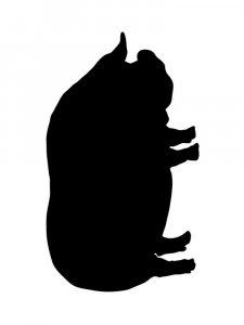Pig Stencils 2