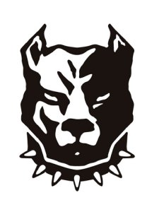 Pitbull Stencil 5