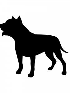 Pitbull Stencil 7