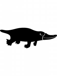 Platypus Stencil 3