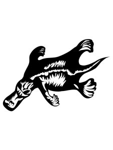 Platypus Stencil 4