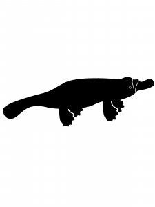 Platypus Stencil 5