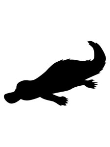 Platypus Stencil 6