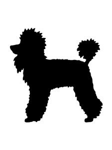 Poodle Stencil 1