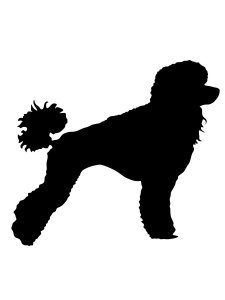 Poodle Stencil 12