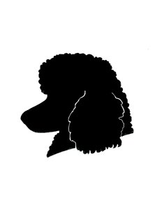 Poodle Stencil 2