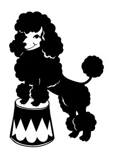 Poodle Stencil 3