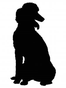 Poodle Stencil 4